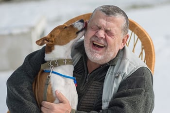 bigstock-Cute-Basenji-Dog-Licks-Master--345314995